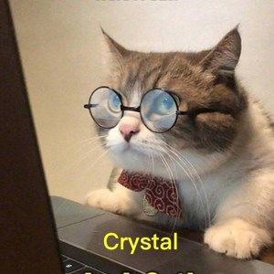 Meet your Posher, Crystal